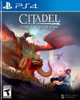 Capa de Citadel: Forged with Fire (PS4)